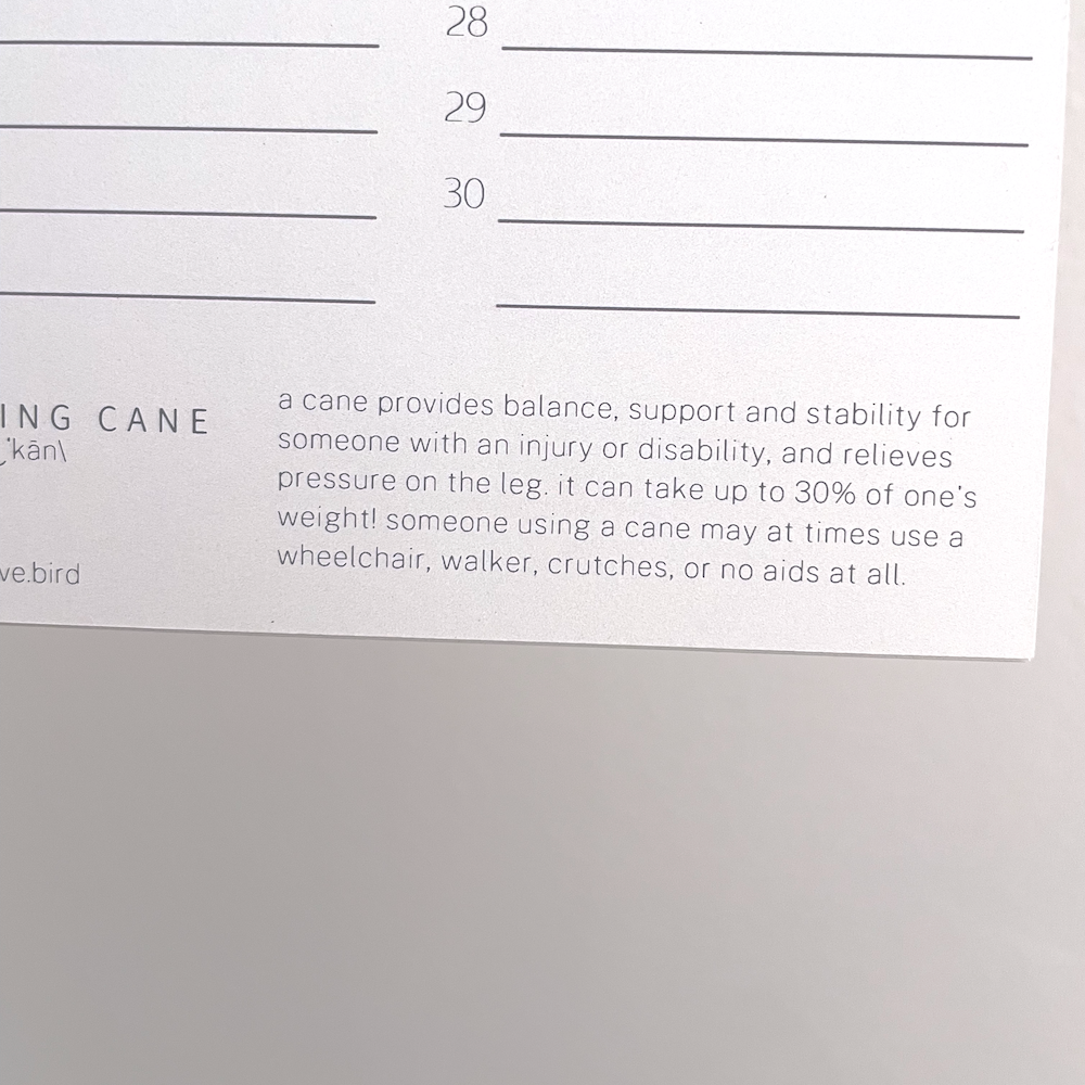 PREORDER: Body Positive Perpetual Calendar