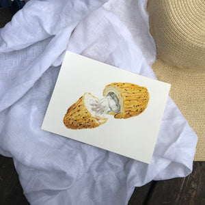 Watercolour painting of a cocoa fruit opened to reveal the insides.