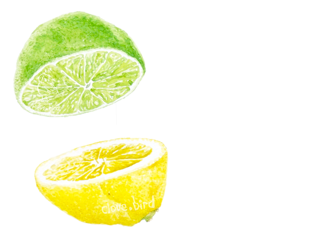 Lemon Lime Watercolour Print