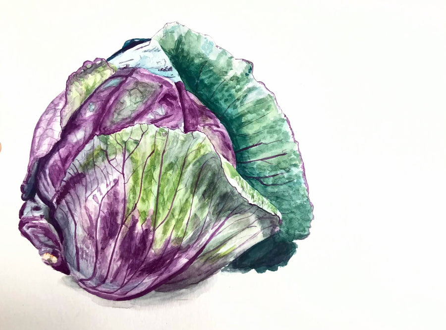 cabbage painting 