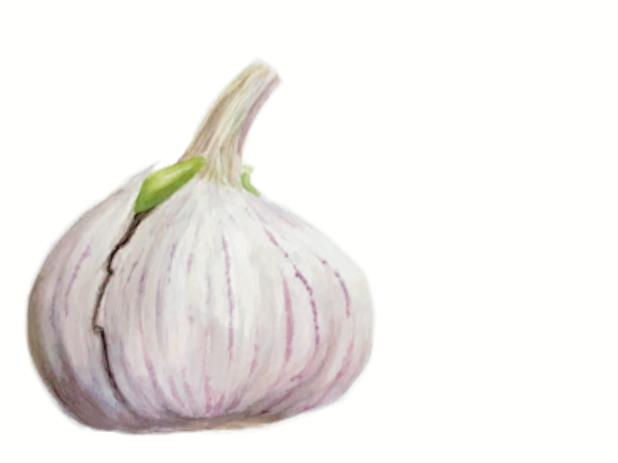 Garlic Original